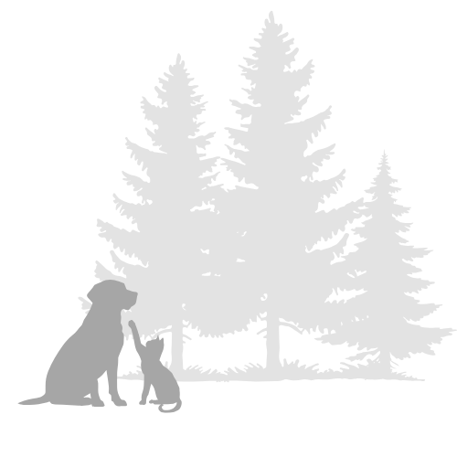 Cat and dog with trees