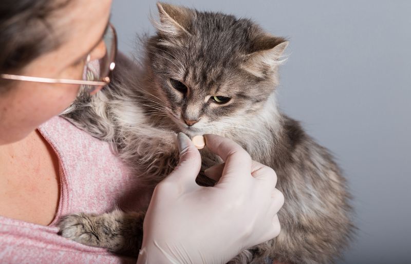 Woman holding cat and offering a chewable tablet