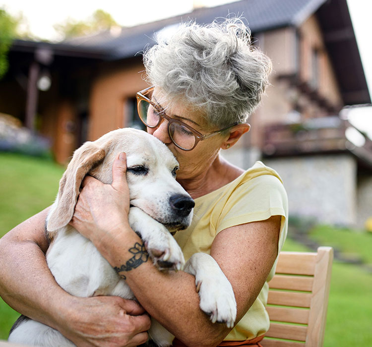 Pet-Wellness-Care Adirondack Veterinary Hospital